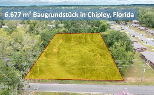 Giant Old Bonifay in Chipley, Florida