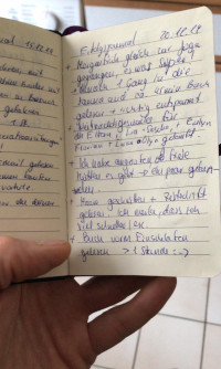 Tagebuch eine Aufsteigers