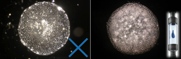Hexagonales Wasser unter dem Mikroskop (20-fach)